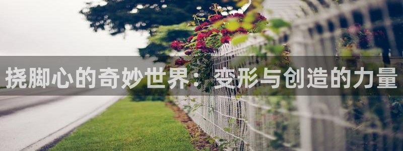 2026YY漫画排行：挠脚心的奇妙世界：变形与创造的力量配图