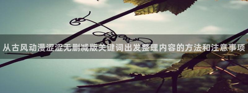 YY漫画本周排行:从古风动漫涩涩无删减版关键词出发整理内容的方法和注意事项配图