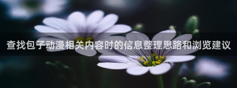 YY漫画新作推荐:查找包子动漫相关内容时的信息整理思路和浏览建议配图