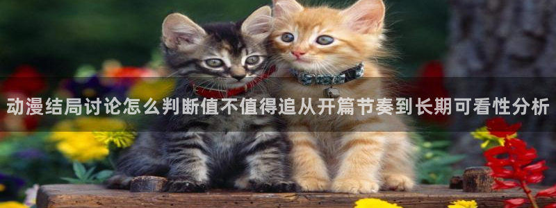 YY漫画哪个网站好:动漫结局讨论怎么判断值不值得追从开篇节奏到长期可看性分析配图